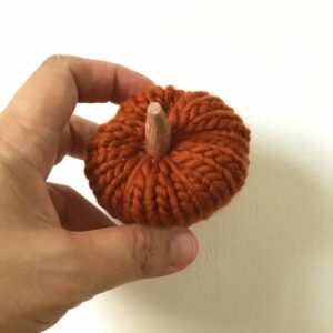 Kit citrouille crochet japonais