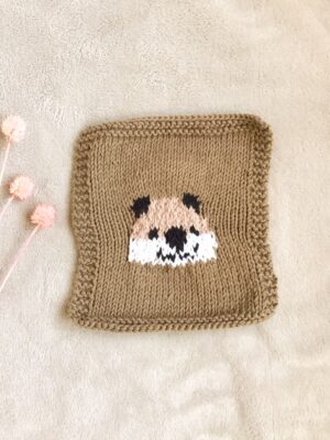 Couverture pour Anna la loutre dormeuse
